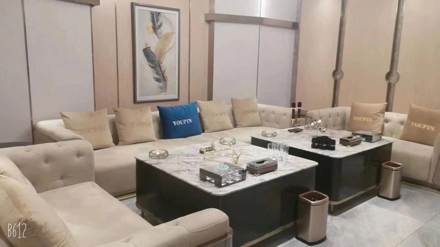 安康商务ktv解惑，精彩商务ktv不容错过-白河县ktv预定